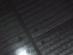 耐磨復合鋼板在輸煤系統